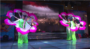 河南省雨林教育工程有限公司