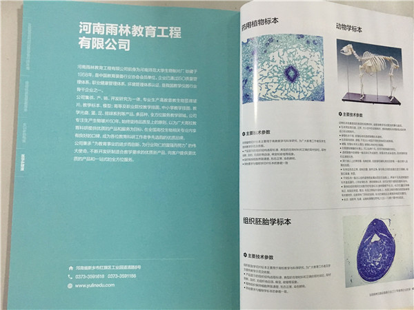 生物切片 生物切片