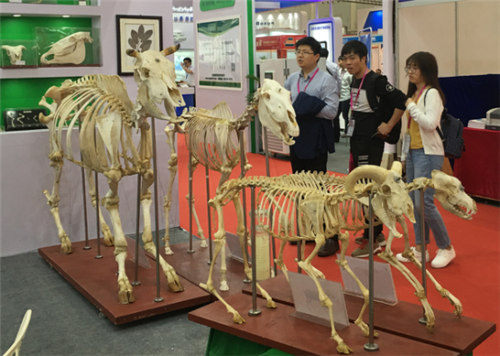 祝賀雨林參展4月教育“兩會(huì)”圓滿成功